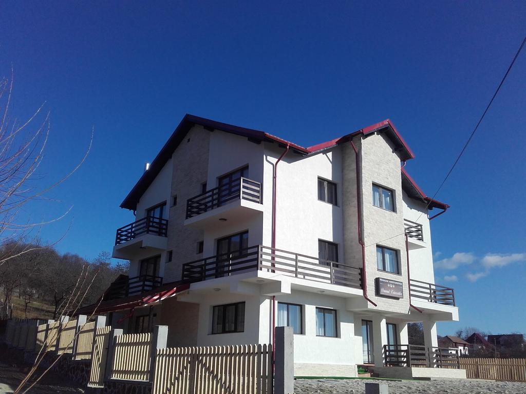 Pensiunea Drumul Voievozilor Arefu Exterior photo