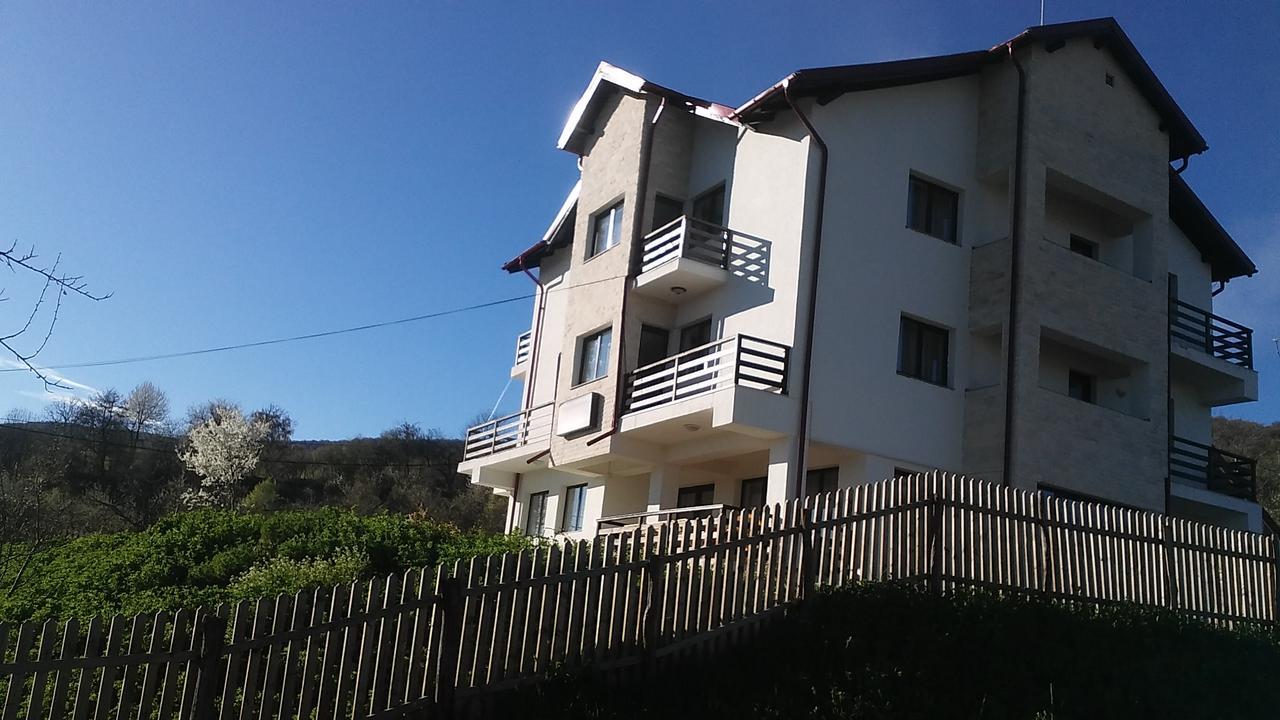 Pensiunea Drumul Voievozilor Arefu Exterior photo