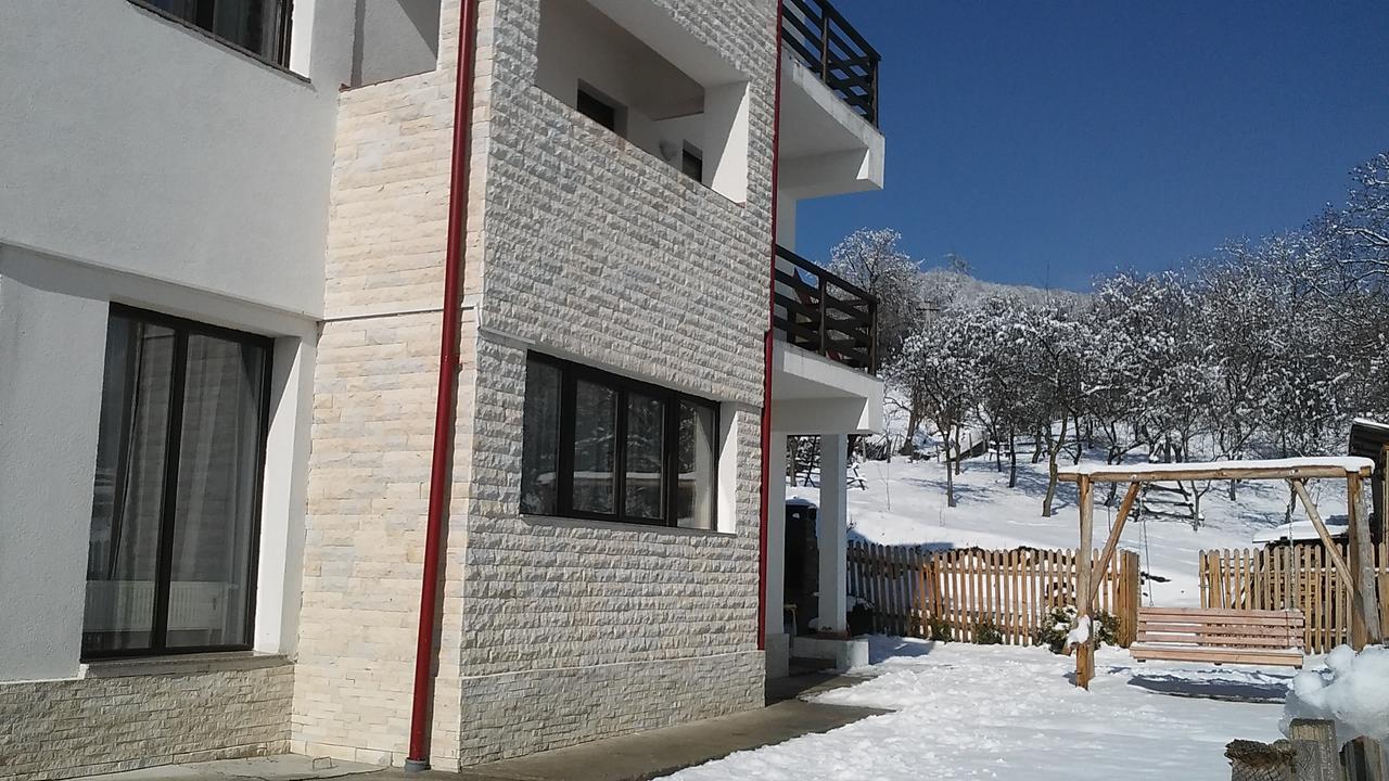 Pensiunea Drumul Voievozilor Arefu Exterior photo